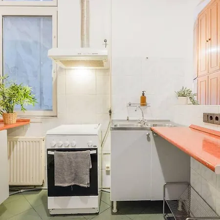 Secluded Spacious Oasis-best Location In Downtown * Budapešť