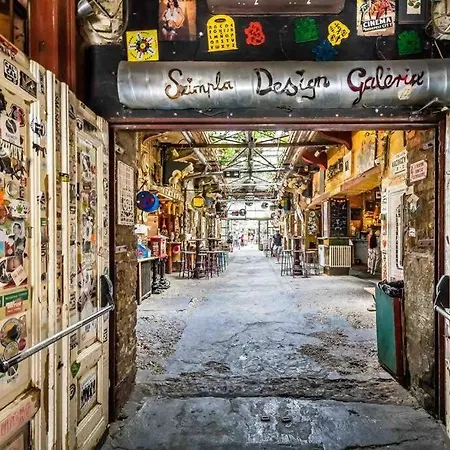 Secluded Spacious Oasis-best Location In Downtown Budapešť